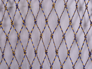 Sapphire Braided Nets