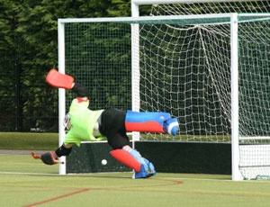 Hockey Nets