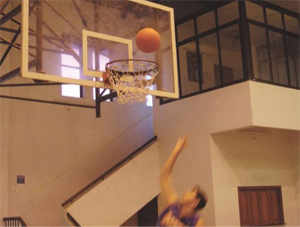 Basketball Nets