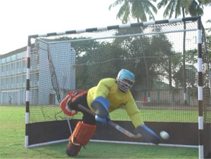 Hockey Nets