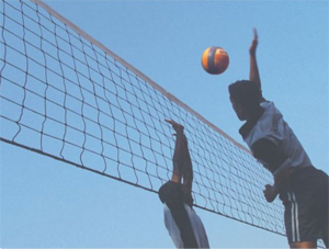 Volleyball nets