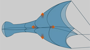 Dole Netting