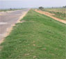 Erosion Control and Embankment Protection