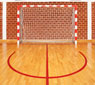 Sports Nets