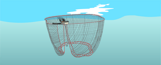 Garfil Ropes for Purse Seine