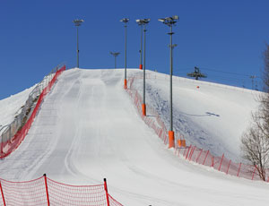 ski nets
