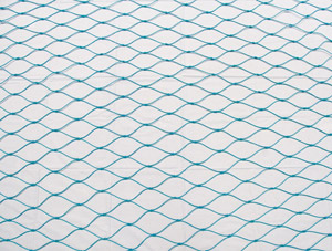 SNG Braided Nets