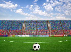 Soccer Nets